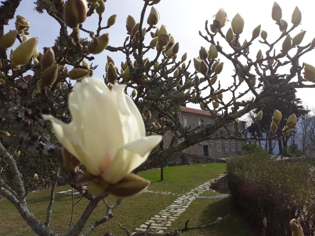 Quinta De Aguia - Non-Smoking Property Hotell São Lourenço do Douro Exteriör bild