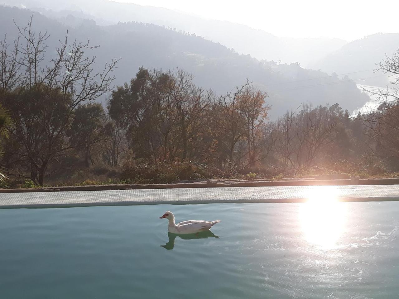 Quinta De Aguia - Non-Smoking Property Hotell São Lourenço do Douro Exteriör bild
